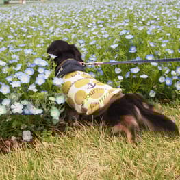 うらんさんの作品