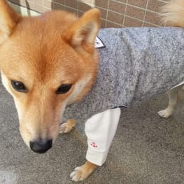 ハーネスウェア