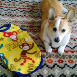 ちゃんちゃんこ