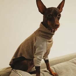 ダウンジャケット