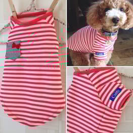 オーバーレインコート