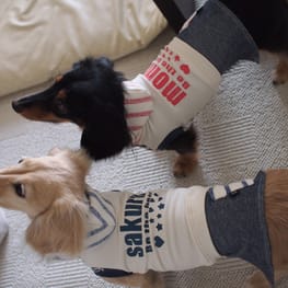 パーカー/トレーナー