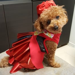 バルーンブラウス