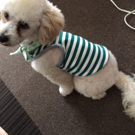 ベーシックタンクトップ&Tシャツ