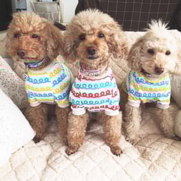 パーカー/トレーナー