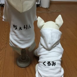 スカート/サロペット