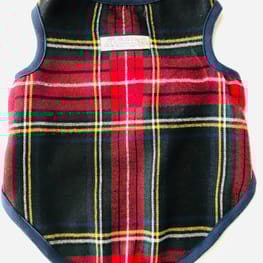 ベーシックタンクトップ&Tシャツ