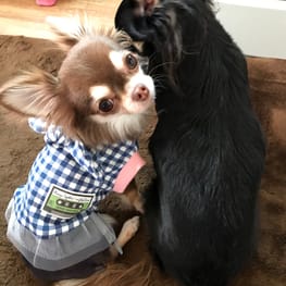 ベーシックタンクトップ&Tシャツ