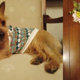 リボンワンピース