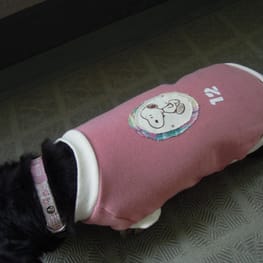 ベーシックタンクトップ&Tシャツ