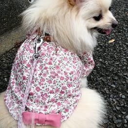 ベーシックラグランTシャツ