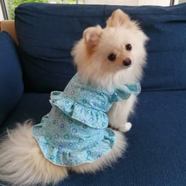 パンプキンコスチューム