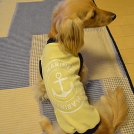 ダウンジャケット