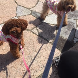 トレーナー・3Wayパーカー