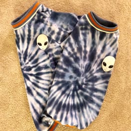 ベーシックラグランTシャツ