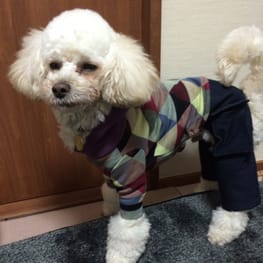 ベーシックタンクトップ&Tシャツ