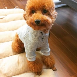 mugi_iroさんの作品