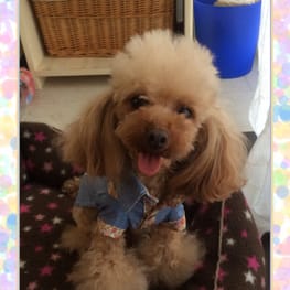 スカート/サロペット