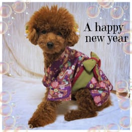 カバーオール(つなぎ)