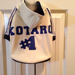 サニタリー・マナーパンツ