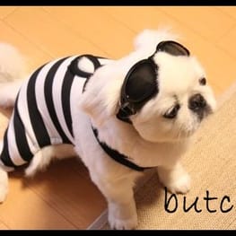 スカート/サロペット