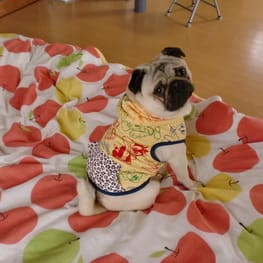 ダウンジャケット