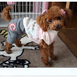 スカート/サロペット