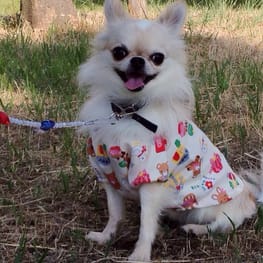 のぇのさんの作品