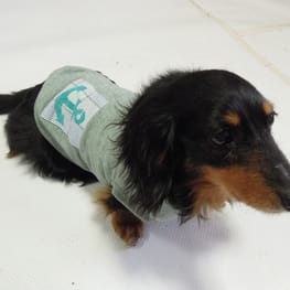 ベーシックタンクトップ&Tシャツ