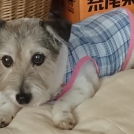 ヒーローコスチューム・男の子用