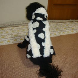 かさたんさんの作品