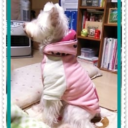 ラグランタンク・ラグランワンピ