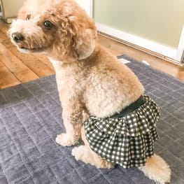 オーバーレインコート