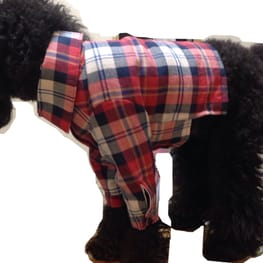 サニタリー・マナーパンツ