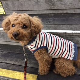 kuuminさんの作品