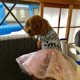 ベーシックラグランTシャツ