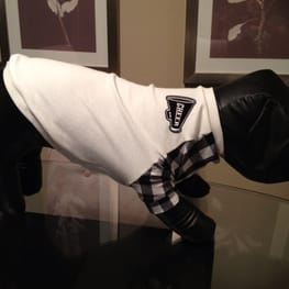 ラッフルスリーブトップス