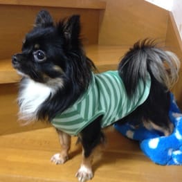 ハーネスウェア