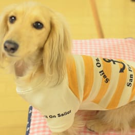 ベーシックタンクトップ&Tシャツ