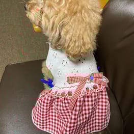 バルーンブラウス