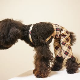 サニタリー・マナーパンツ