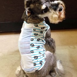 うさぎ/パンダ変身コスチューム