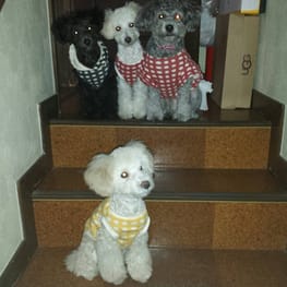 ベーシックラグランTシャツ