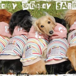 ラガーシャツ・ポロシャツ