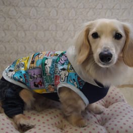 バルーンブラウス