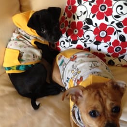 ラッフルスリーブトップス