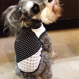 ラグランタンク・ラグランワンピ