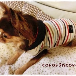 roncoさんの作品