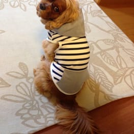 カバーオール(つなぎ)