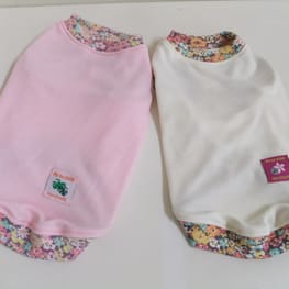 ベーシックタンクトップ&Tシャツ